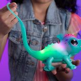 Calm a Chameleon