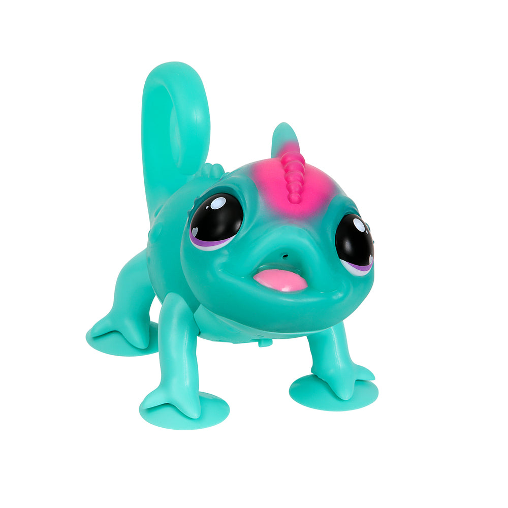 Calm a Chameleon