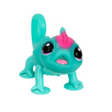 Calm a Chameleon