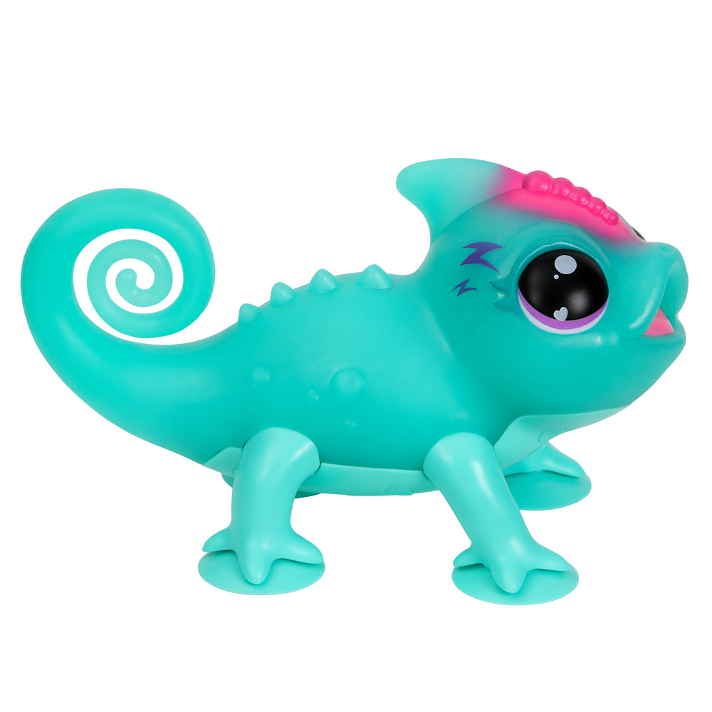 Calm a Chameleon