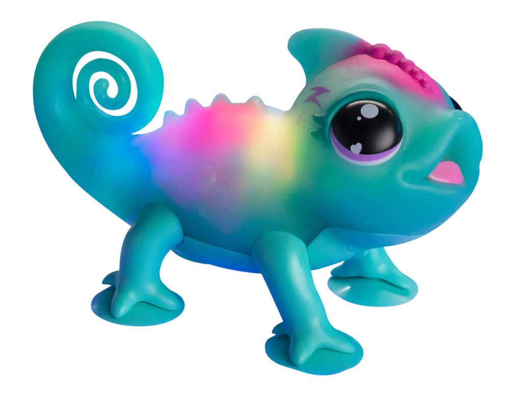 Calm a Chameleon