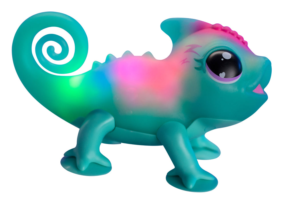 Calm a Chameleon