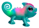 Calm a Chameleon