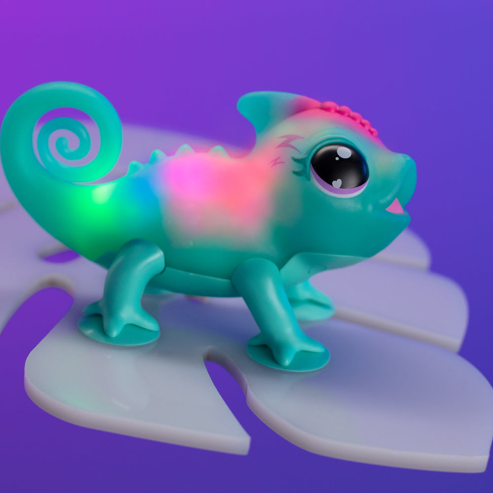 Calm a Chameleon