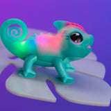 Calm a Chameleon
