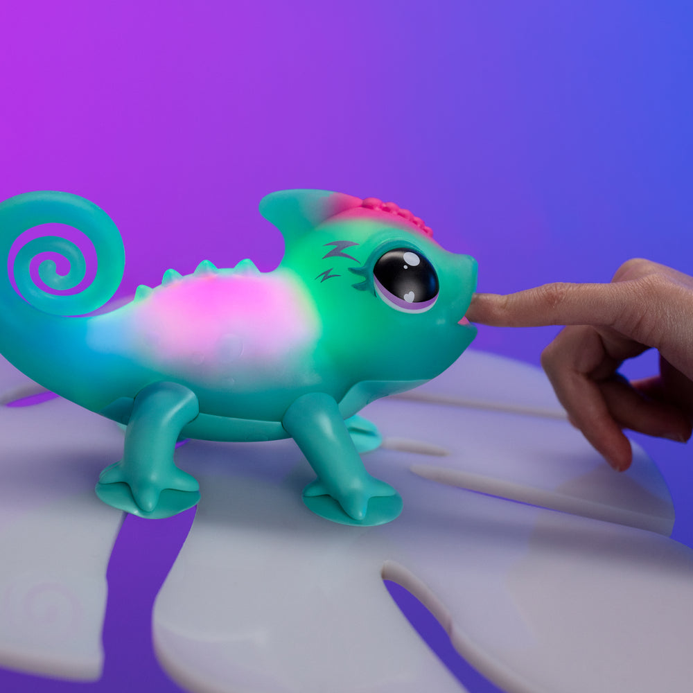 Calm a Chameleon