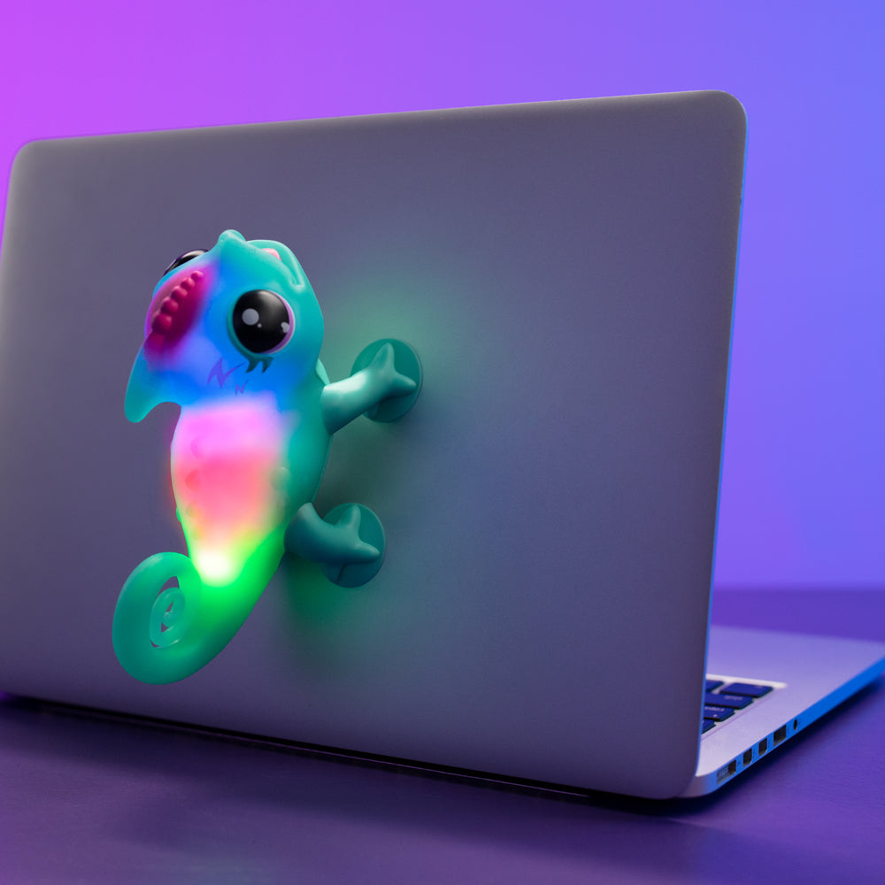 Calm a Chameleon