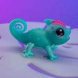 Calm a Chameleon