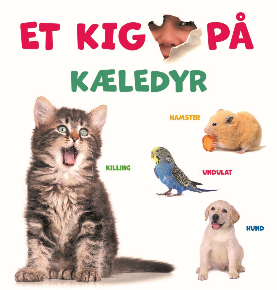 Et kig på - kæledyr