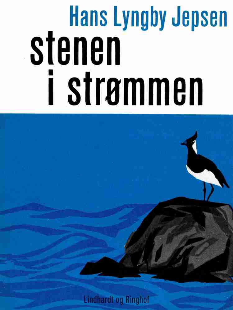 Stenen i strømmen