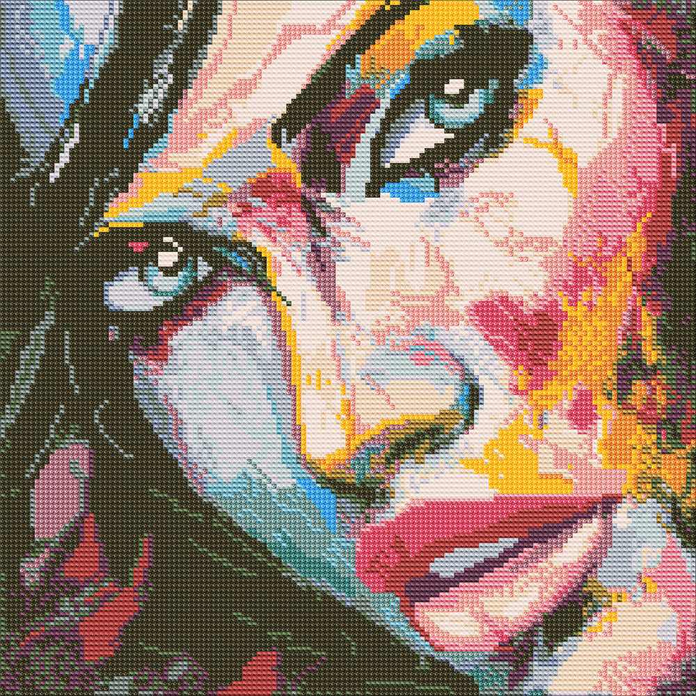Diamond Art MIX Ansigt  40 x 40 cm