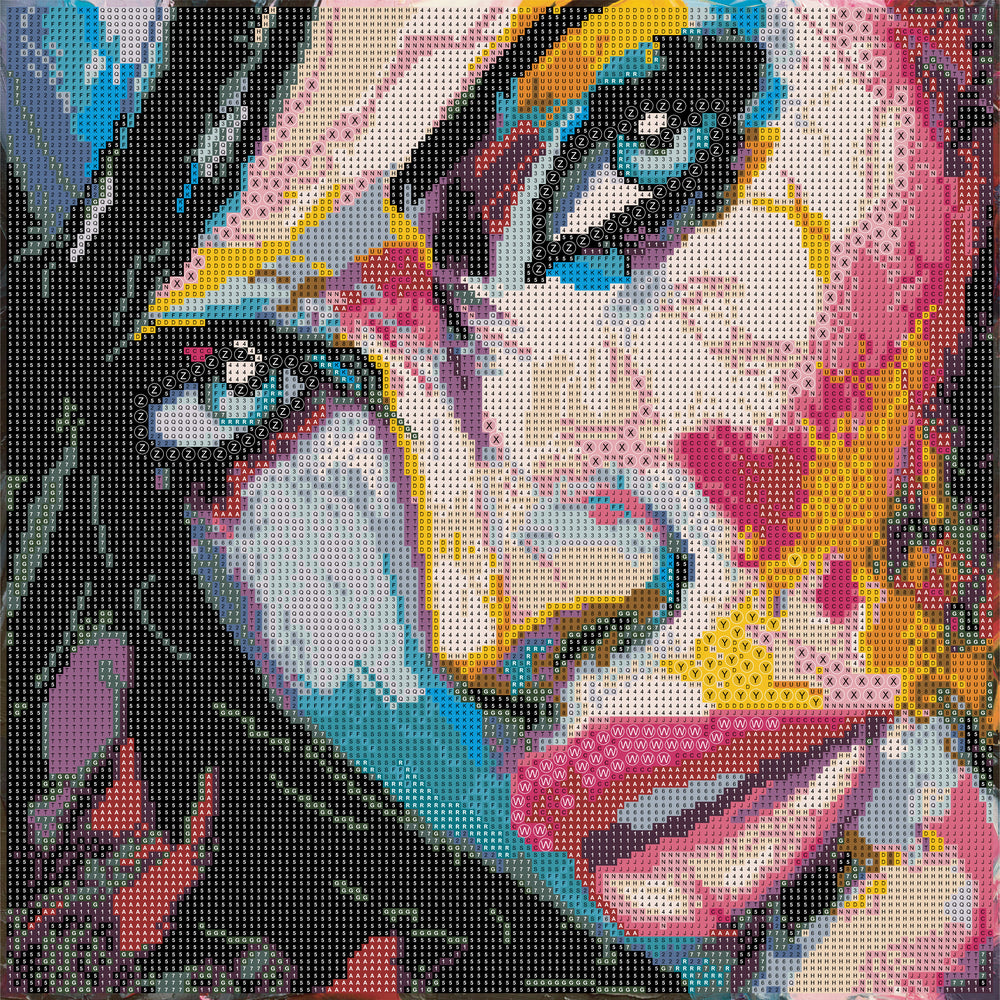 Diamond Art MIX Ansigt  40 x 40 cm