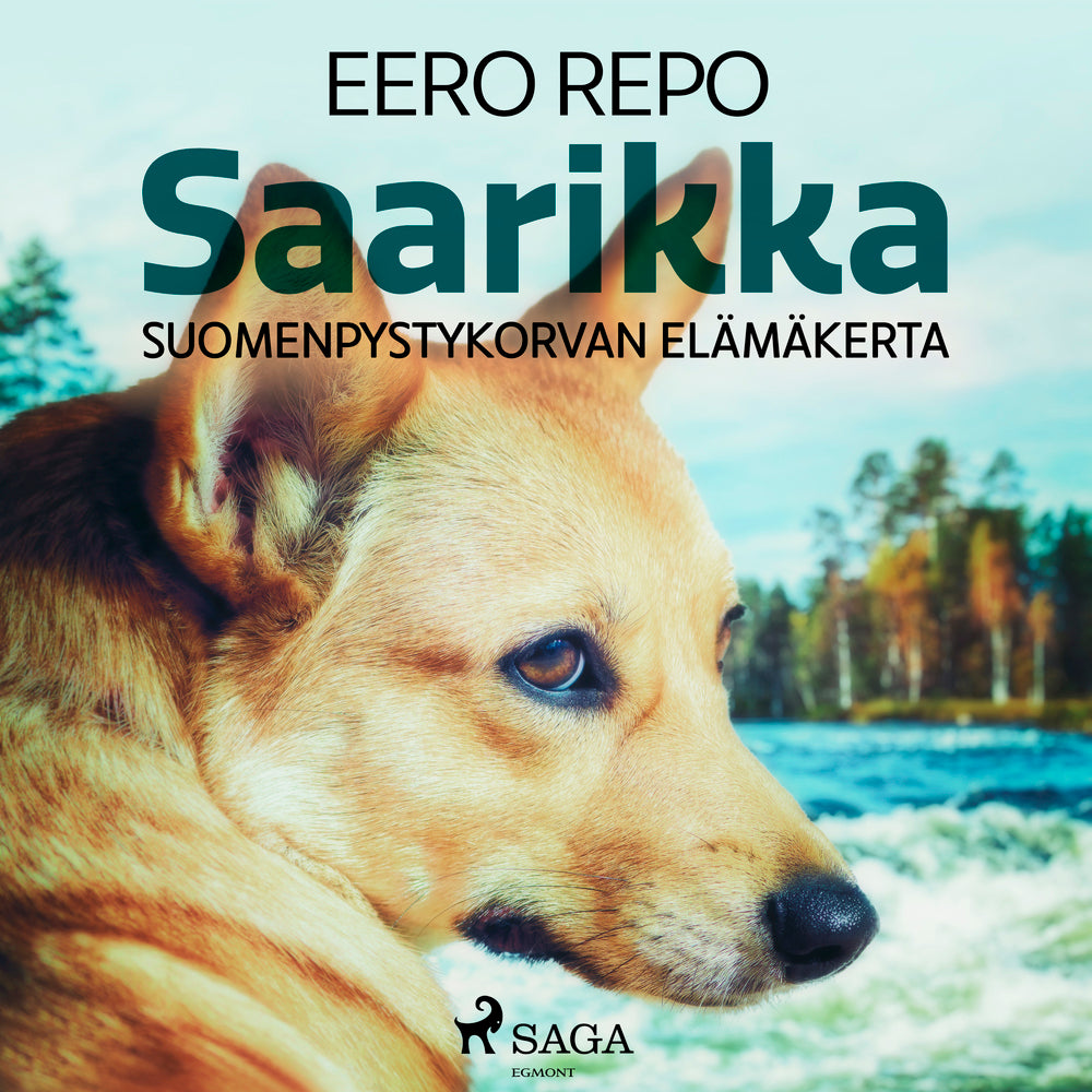 Saarikka