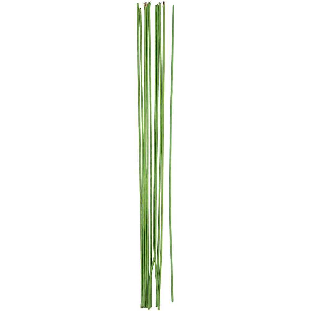 Blomsterstængel