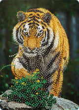 Diamond Art tiger 13 x 18 cm