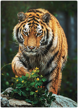 Diamond Art tiger 13 x 18 cm