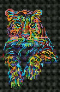 Diamond Art leopard 20 x 30 cm