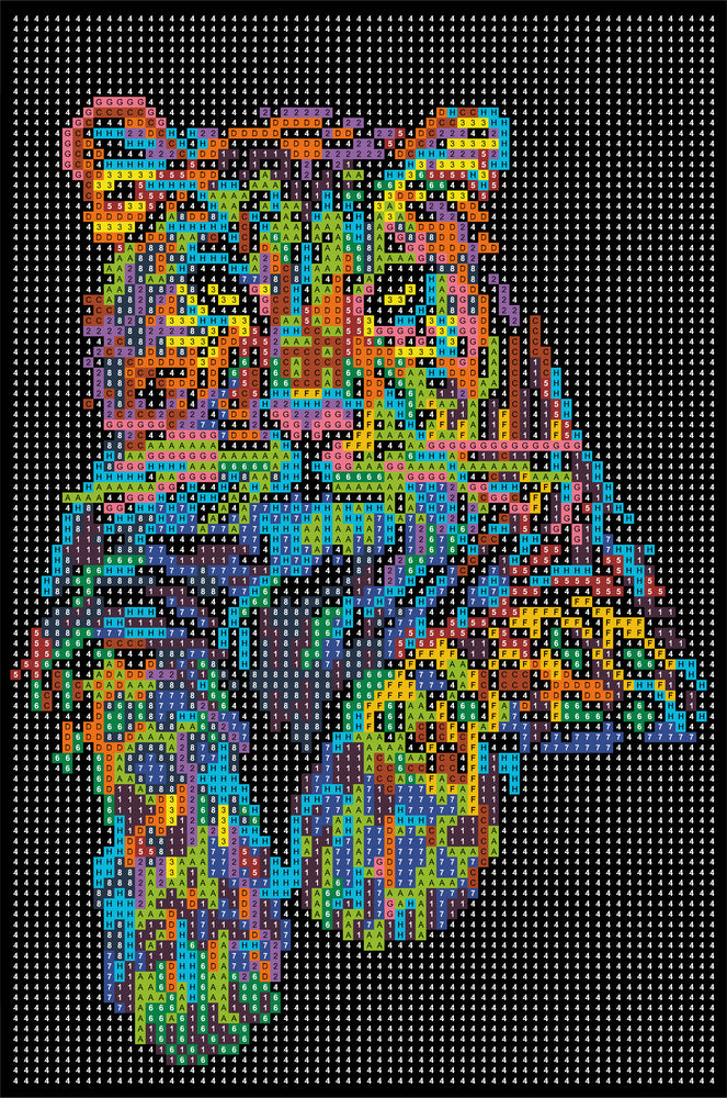Diamond Art leopard 20 x 30 cm