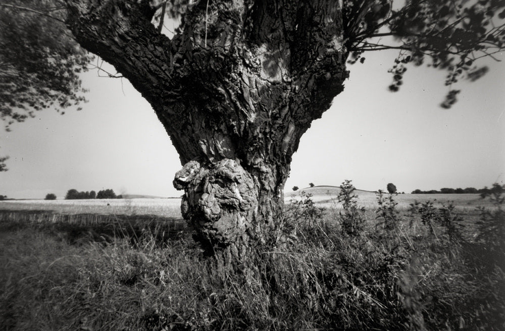 Hindsholm