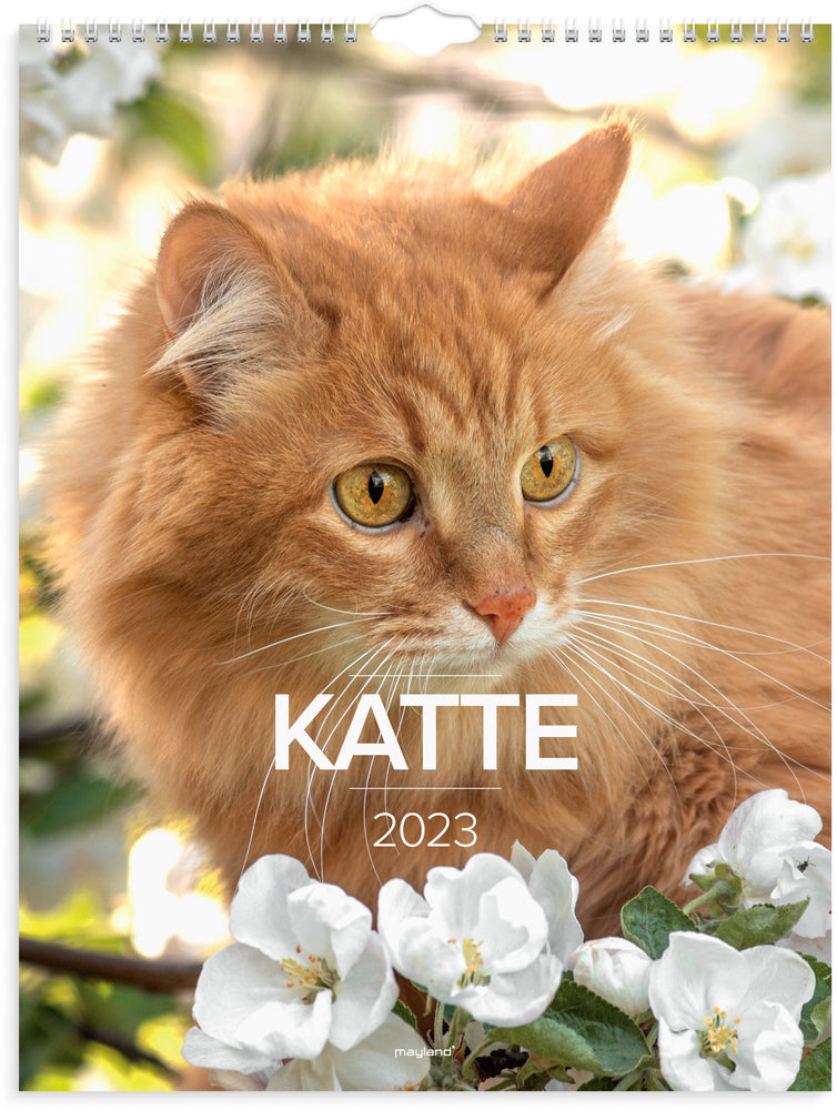 Vægkalender katte 2023 Mayland