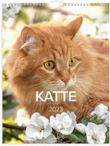 Vægkalender katte 2023 Mayland