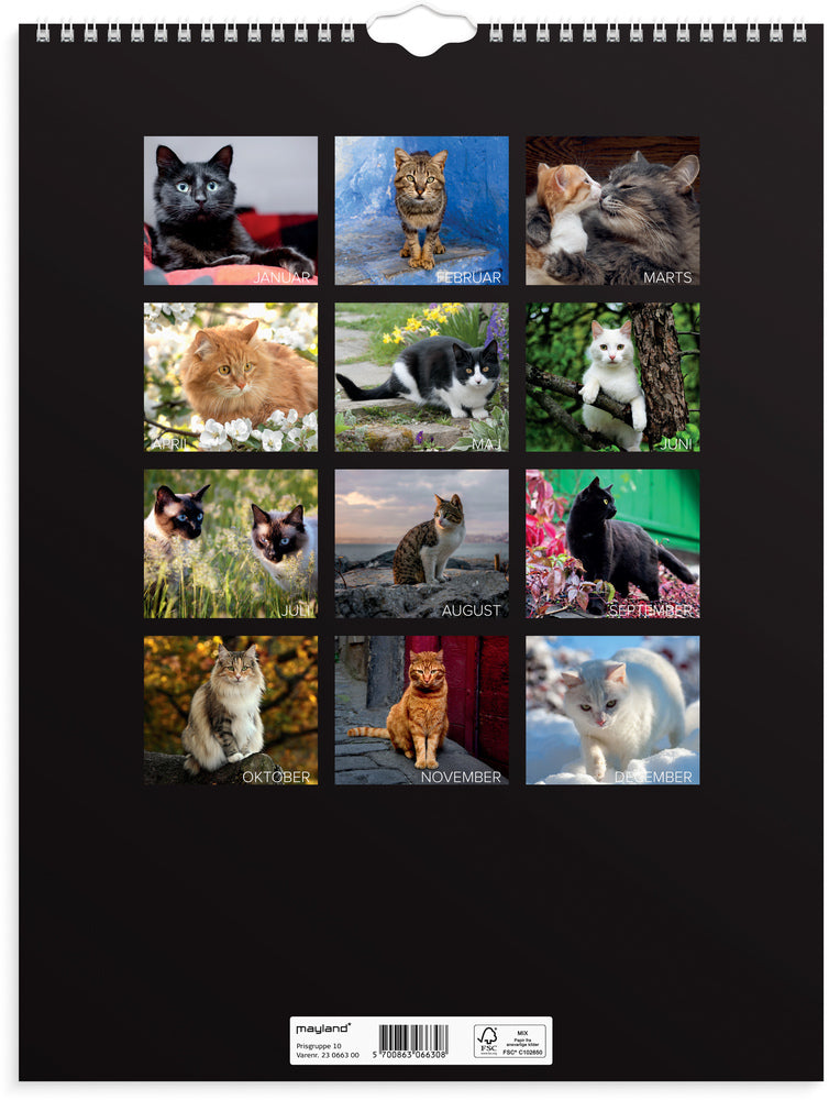 Vægkalender katte 2023 Mayland