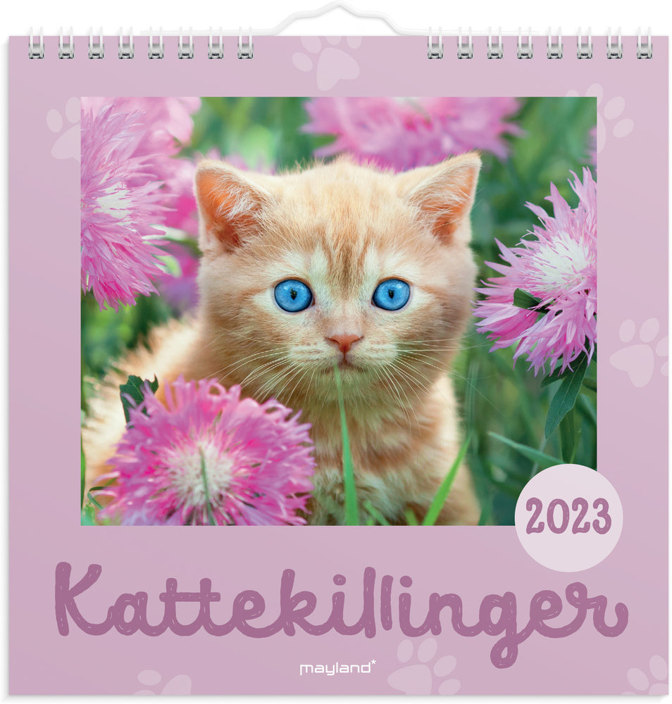 Vægkalender kattekillinger 2023