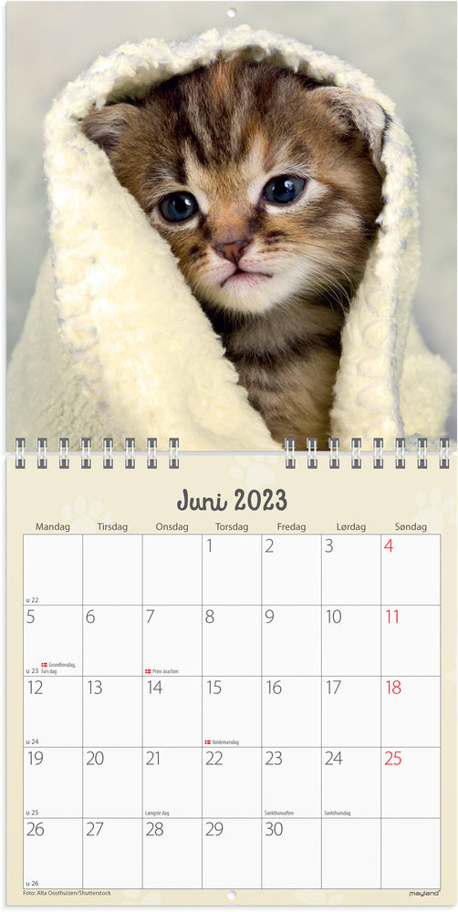 Vægkalender kattekillinger 2023