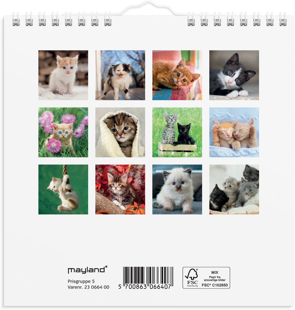 Vægkalender kattekillinger 2023