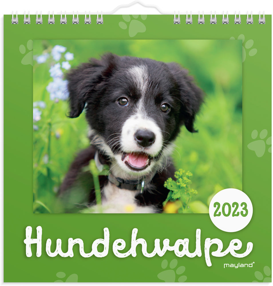 Vægkalender hundehvalpe 2023