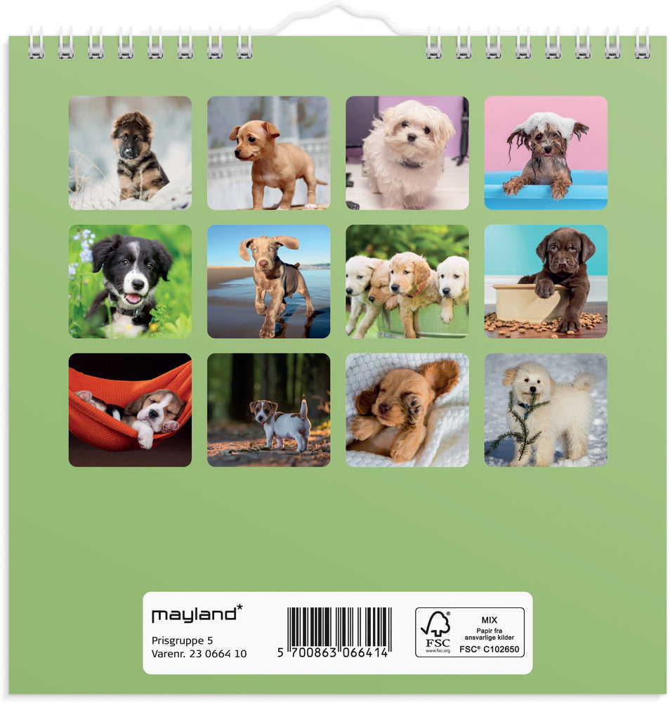Vægkalender hundehvalpe 2023