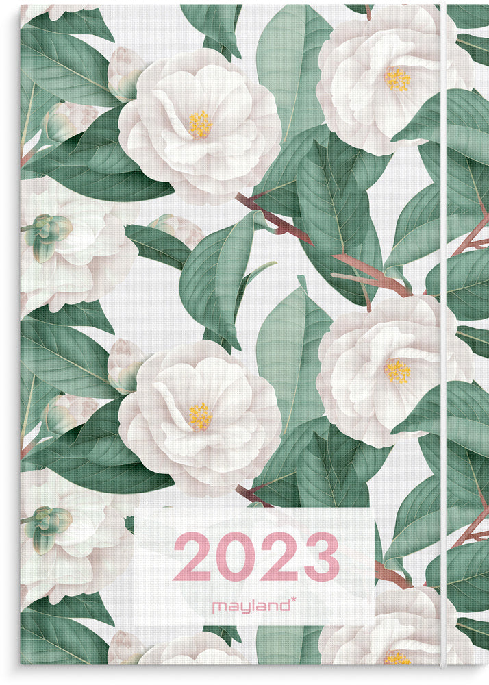 Ugekalender international 2023