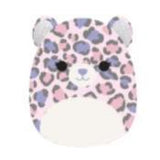 Squishmallows 19 cm asst