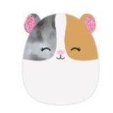 Squishmallows 19 cm asst