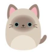 Squishmallows 19 cm asst