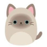 Squishmallows 19 cm asst