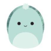Squishmallows 19 cm asst
