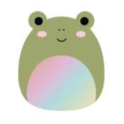 Squishmallows 19 cm asst