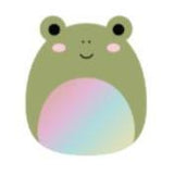 Squishmallows 19 cm asst