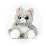 Winks the Sleepy Kitty