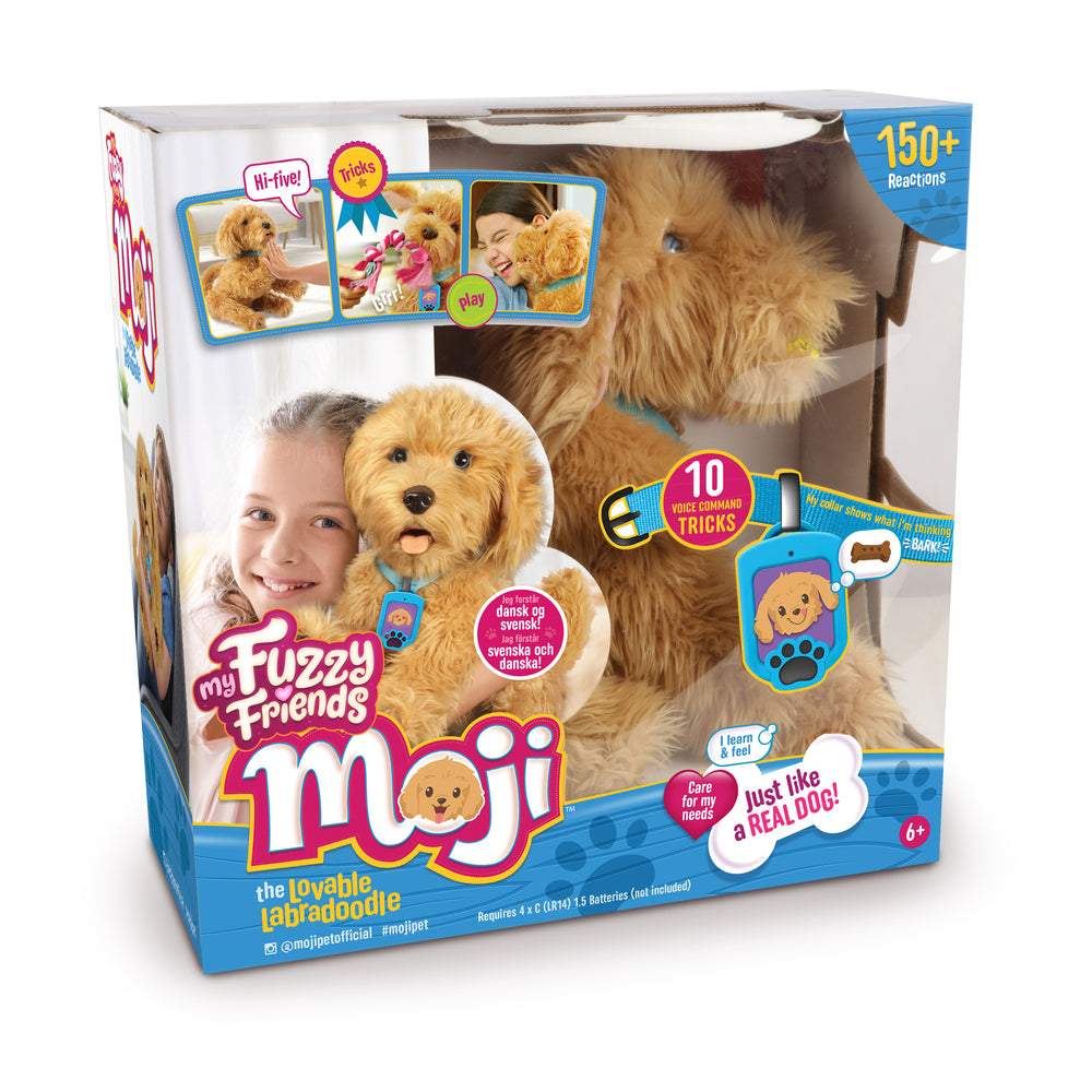 D2 Moji the Lovable Labradoodle