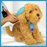 Moji the Lovable Labradoodle