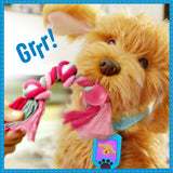 Moji the Lovable Labradoodle