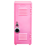 Real Littles Locker Set