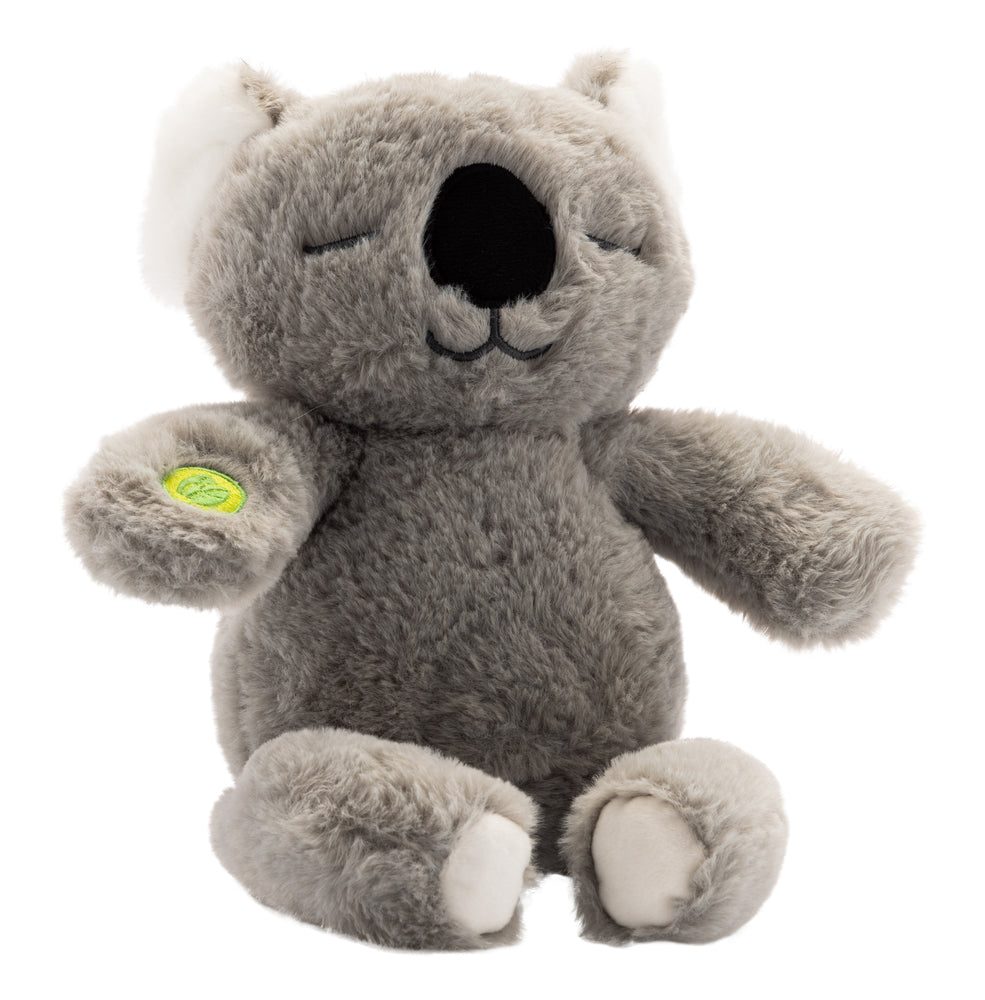 Tæppe og koala med musik