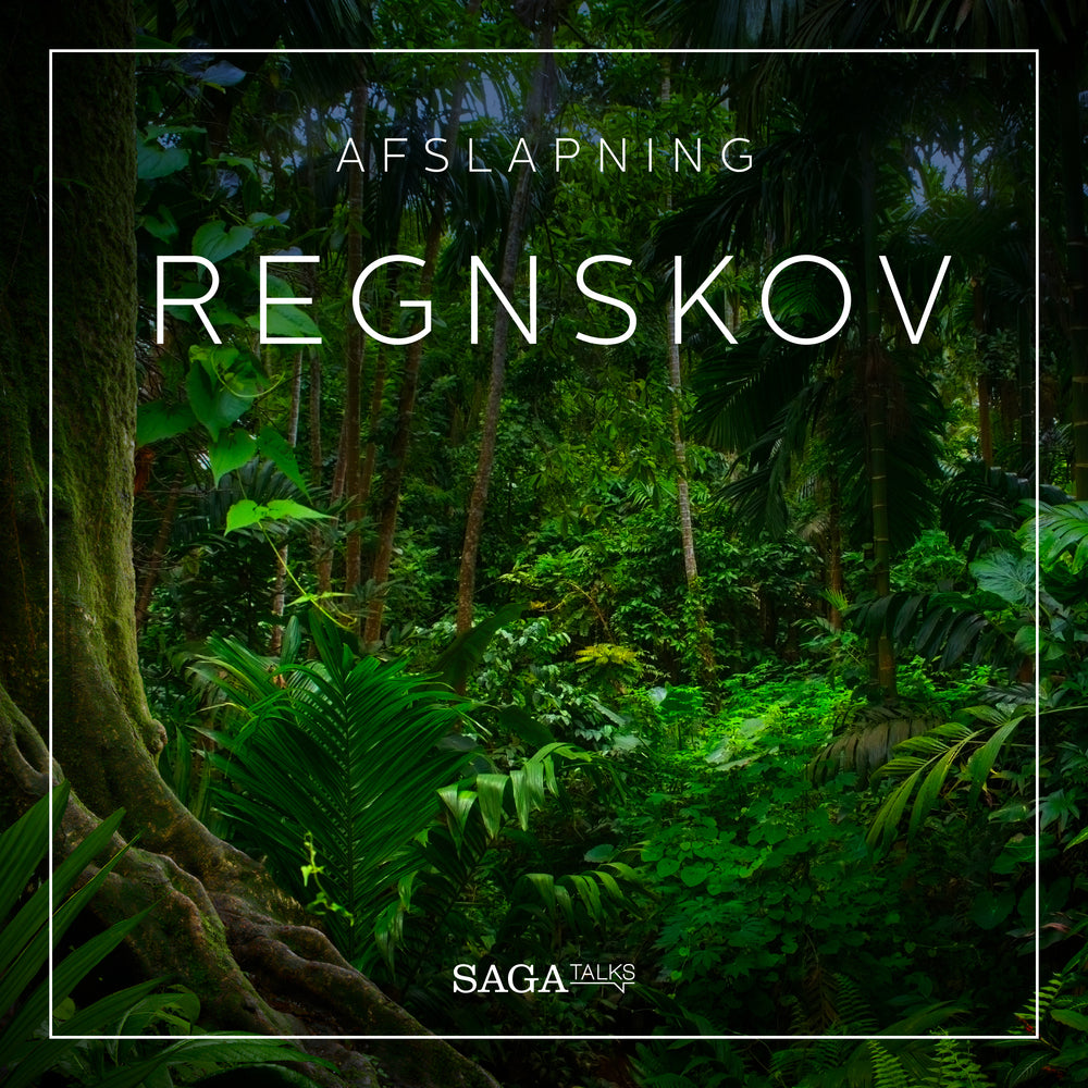 Regnskov