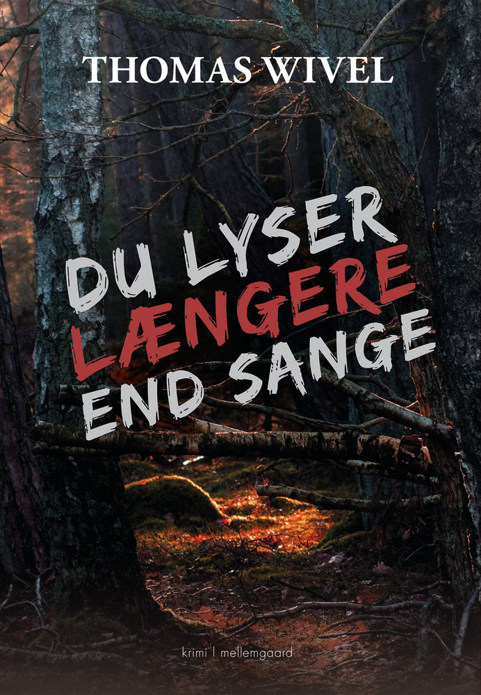 Du lyser længere end sange
