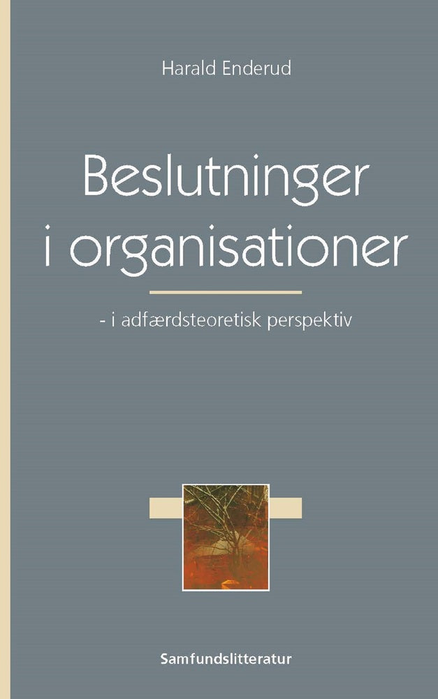 Beslutninger i organisationer