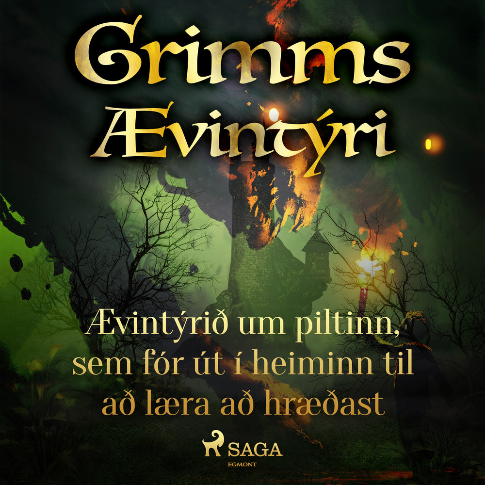 Ævintýrið um piltinn, sem fór út í heiminn til að læra að hræðast