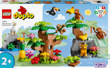 10973 LEGO DUPLO Town Sydamerikas Vilde Dyr